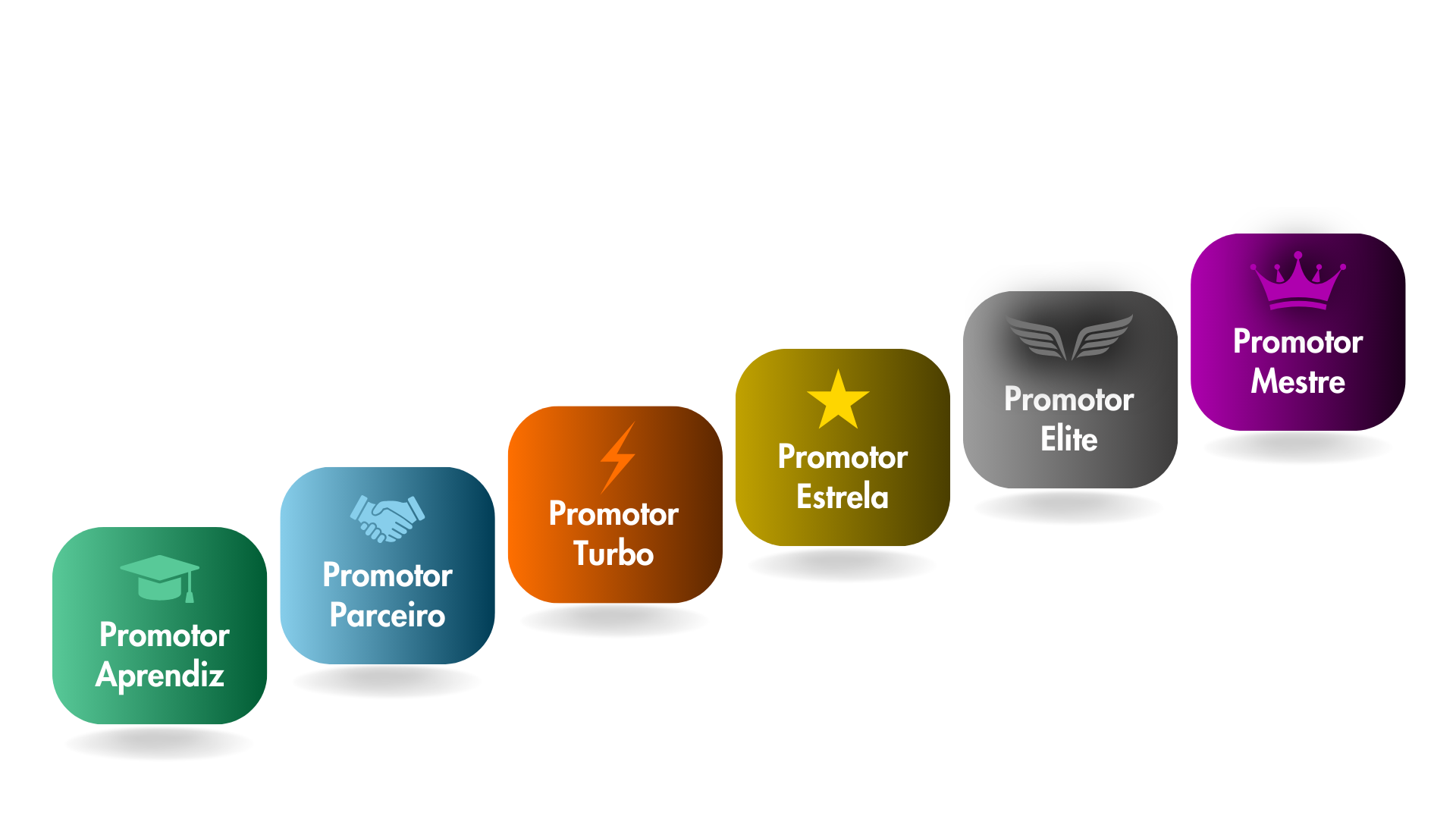 6 Níveis de Crescimento